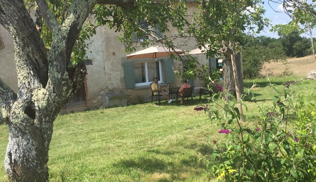Between bastides, vineyards and forests