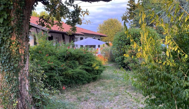 Between forest, lake and ocean!