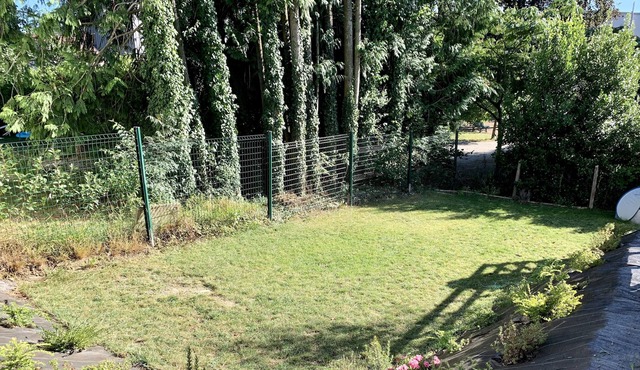 Between lake and mountains