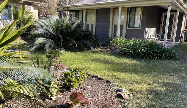 Between lake, forest and beach