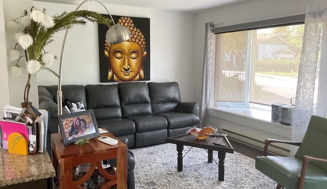 Between Montreal and Tremblant, complete home close to 3 services.