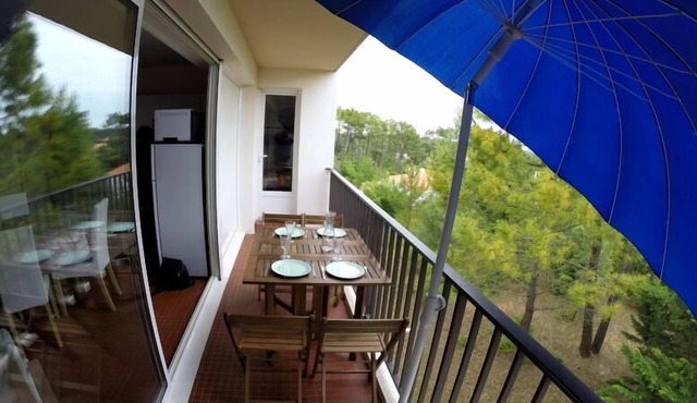 Between pine forest and ocean