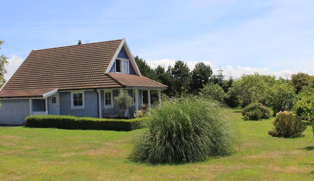 Between the dunes and the sea