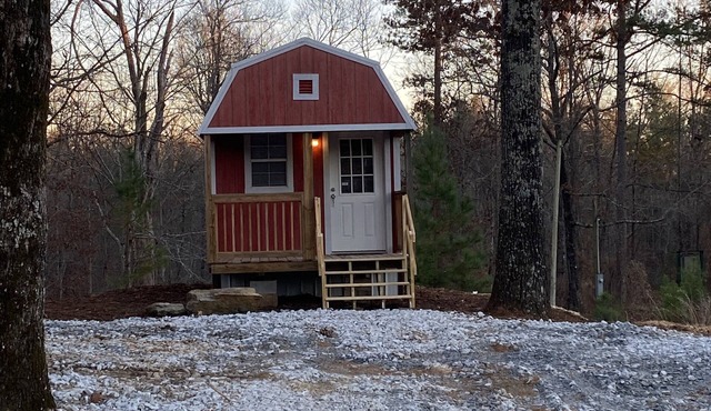 Between The Lakes Cozy Cabin- Free Park Passn