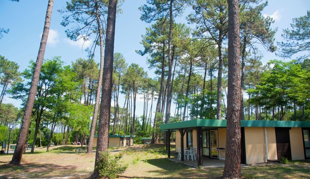 Between the Land and the Ocean