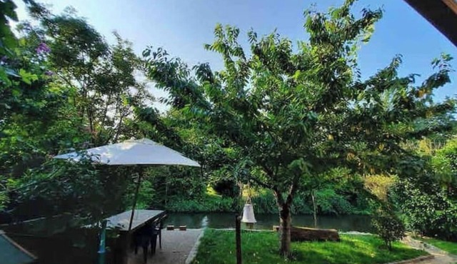 Between town & country (garden with river)