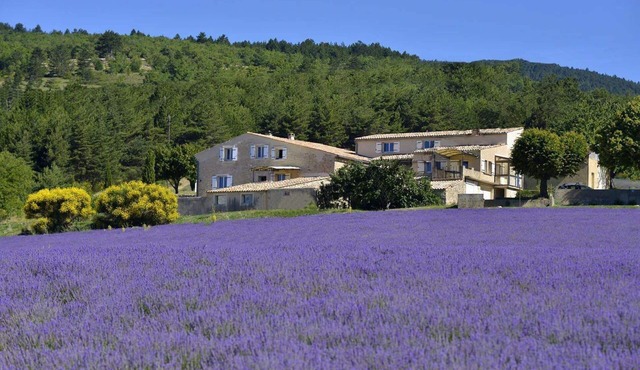 Between Ventoux and Luberon *