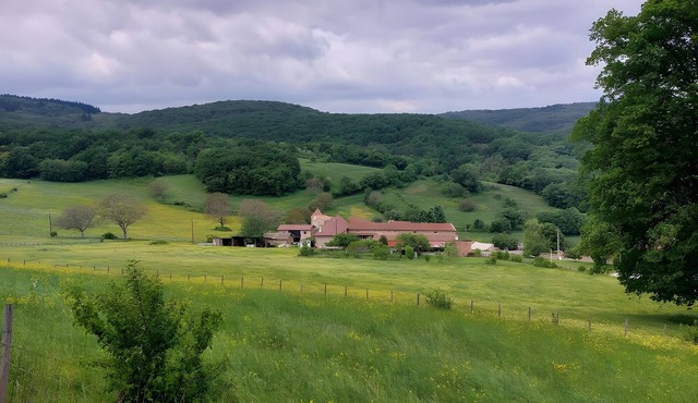 Between vineyards and forests in the mâconnais