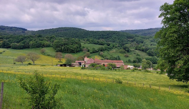 Between vineyards and forests in the Mâconnais