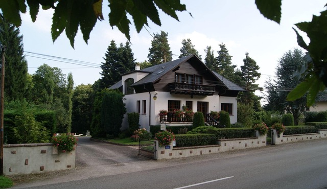 Between vineyards and mountains, charming cottage *** Le Schaentzel