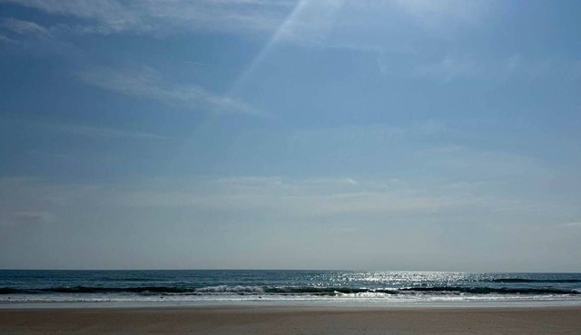 Beverly’s Place III – Pets Welcomed!