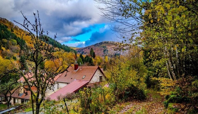 Bicentennial house at the foot of the Ballon d'Alsace