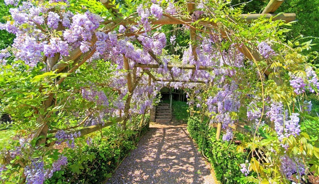 Bickleigh Castle Hotel