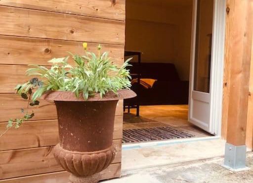 Bienvenue « À l’ombre du figuier »