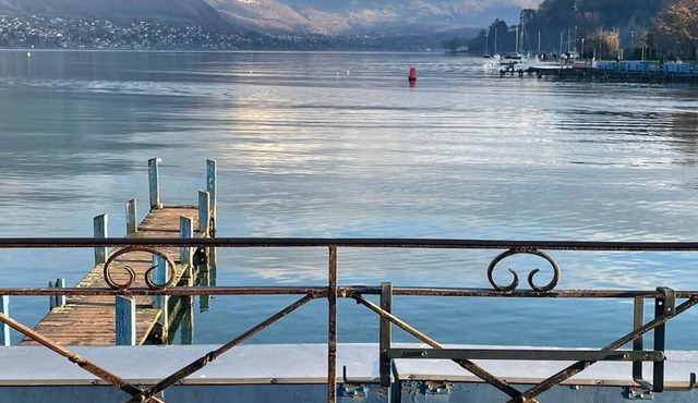 Bienvenue Chez Ruby ! The Gentle cat .🐱