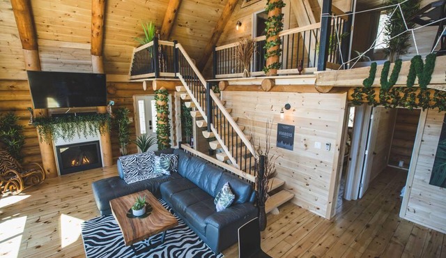 BIENVENUE DANS LA JUNGLE - CHALET EN BOIS ROND