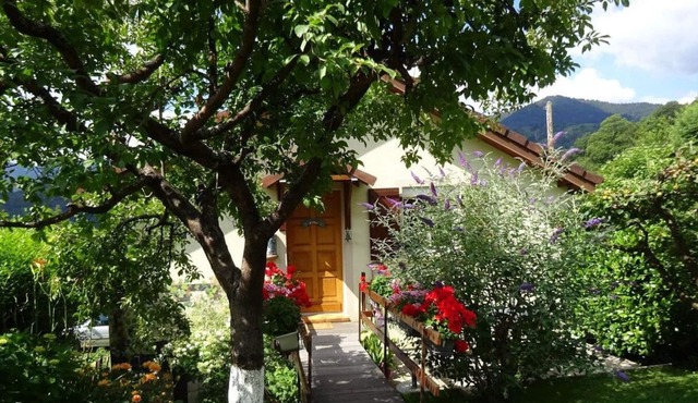 Bienvenue dans le charming petit chalet du bel'air