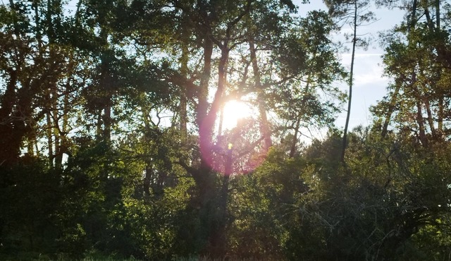 Bienvenue en sud Gironde