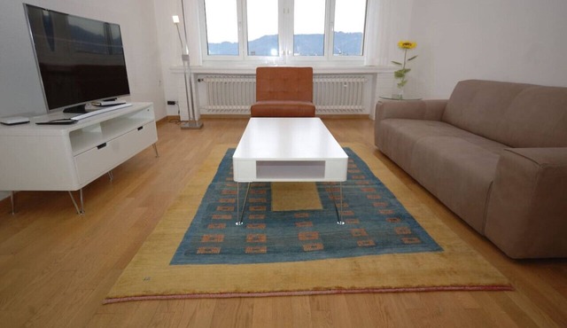 Big 1BR apartment in the center (Mill 3.55)