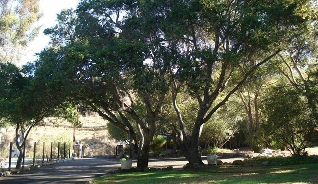 Big 3 Bedroom Home with a 1 Bedroom Guest House