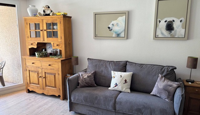 Big and pleasant studio full south 34 m2 at the foot of the slopes with parking place