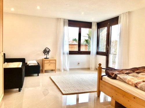 Big Apartment with garden Rapperswil-Jona