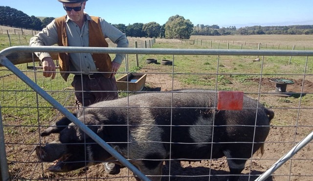 Big barn on a working farm- sleeps up to 13