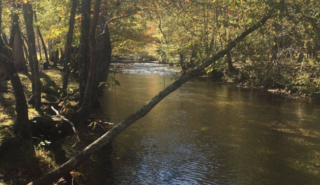 Big Bear Cabin - Enjoy a peaceful mountain getaway !nMany Mtn activities nearbyn