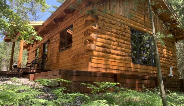 Big Bear Hideaway - St Germain Cabin 1 on St Germain River