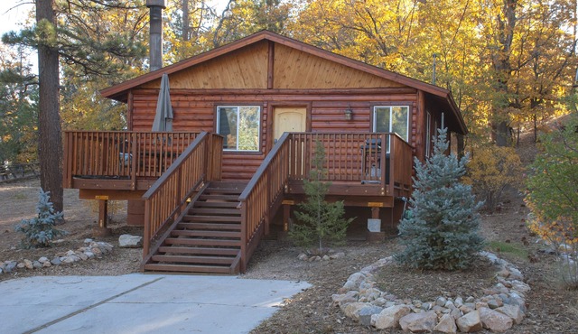 Big Bear Mountain Escape! Walking to Village, Restaurants, Hiking/Biking Trails