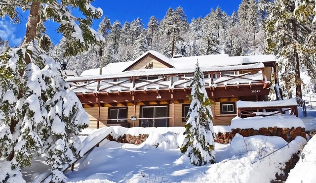 Big Bear's Most Unique Location! Amazing View, Wood Fireplace, Backs To Mountain