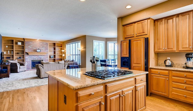 Big, beautiful 5 bedroom house in Highlands Ranch, CO