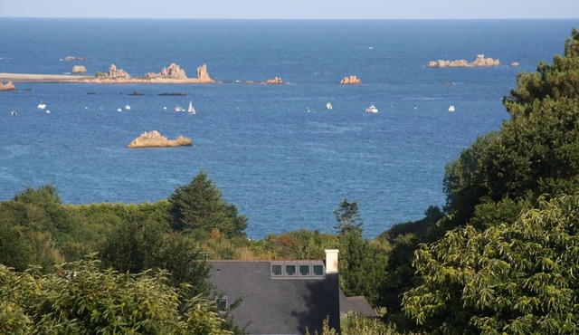 Big, bright, and comfortable house