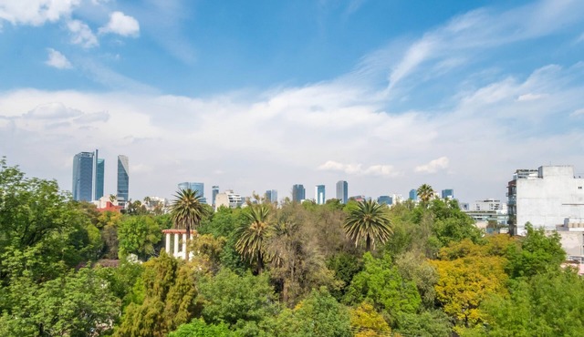 Big, Bright, Renovated Mexico City Apartment Facing Gorgeous Park in La Condesa
