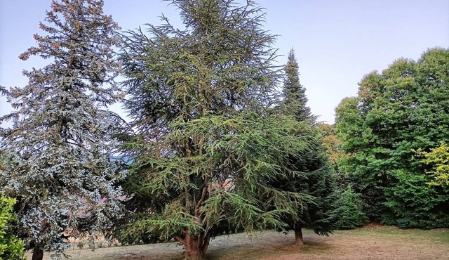 Big Chalet for several familly view Leman lake