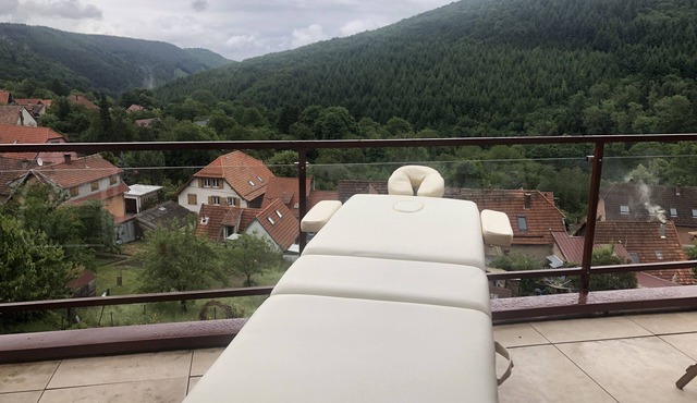 Big cocoon with splendid view in Alsace