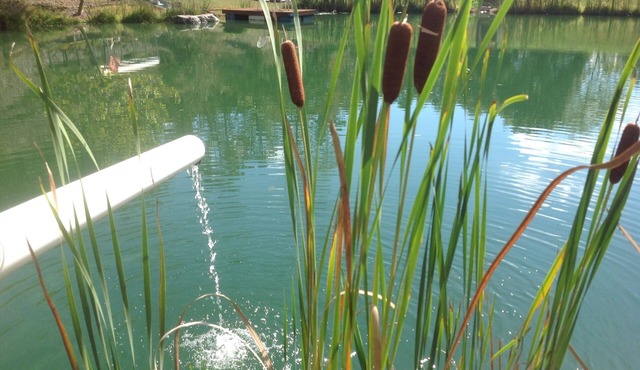 BIG D's POND & North Branch of the Potomac river Camping.