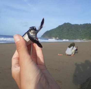 Big Daddy's surfcamp