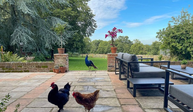 Big farmhouse gives guests proper coast and country living..