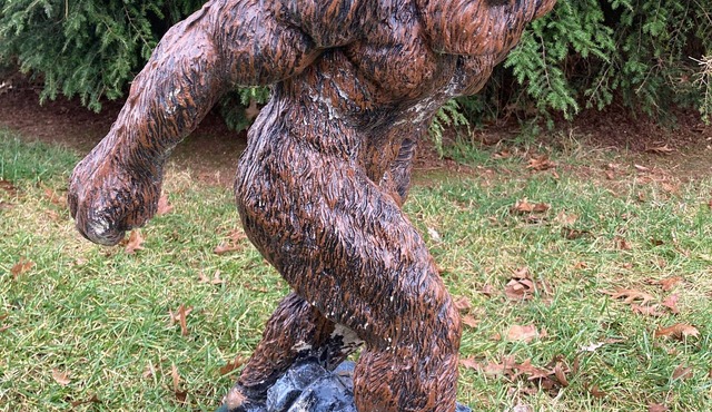 Big Foot's Retreat- is in walking distance of Cumberland Point Recreation Area