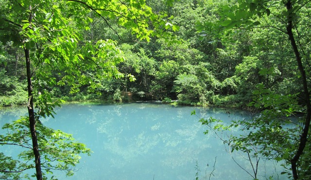 Big Hollow Retreat by the sinking creek