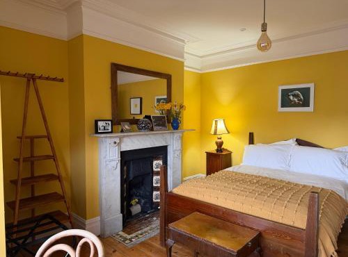 Big house, by the sea, with cats