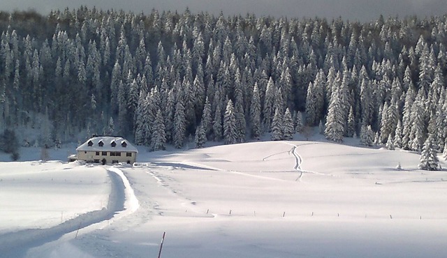 Big house till 40 people