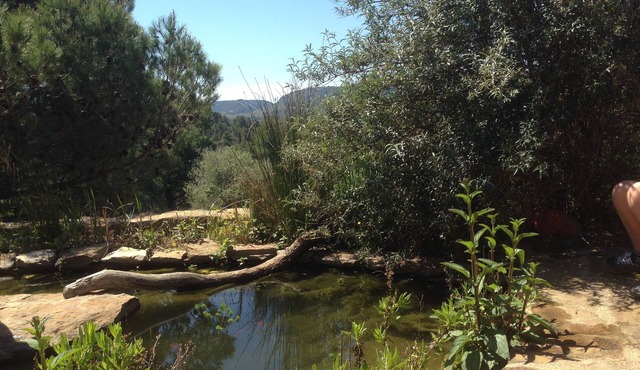 Big house with a magnific vue on the corbières's landscape