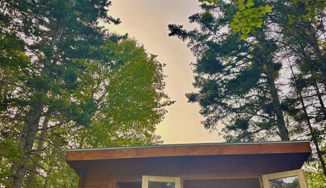 Big Leo’s River View Cabin