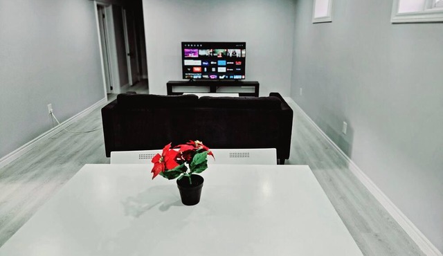 Big Newly renovated bright 2 bedroom basement apartment