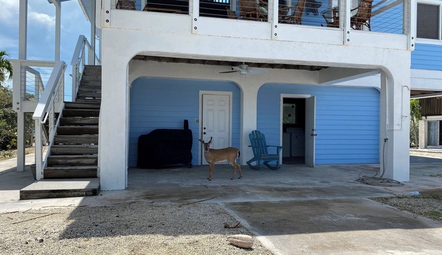Big Pine Key House 4/2 with 75’ dock and a stunning bay view.