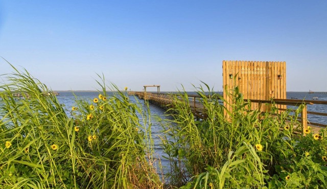 Big Tree Cottages by Miss Kitty’s