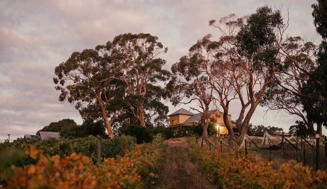 Big Vine House on Zig Zag Winery
