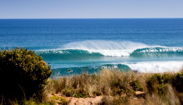 BIG4 Ingenia Holidays Phillip Island